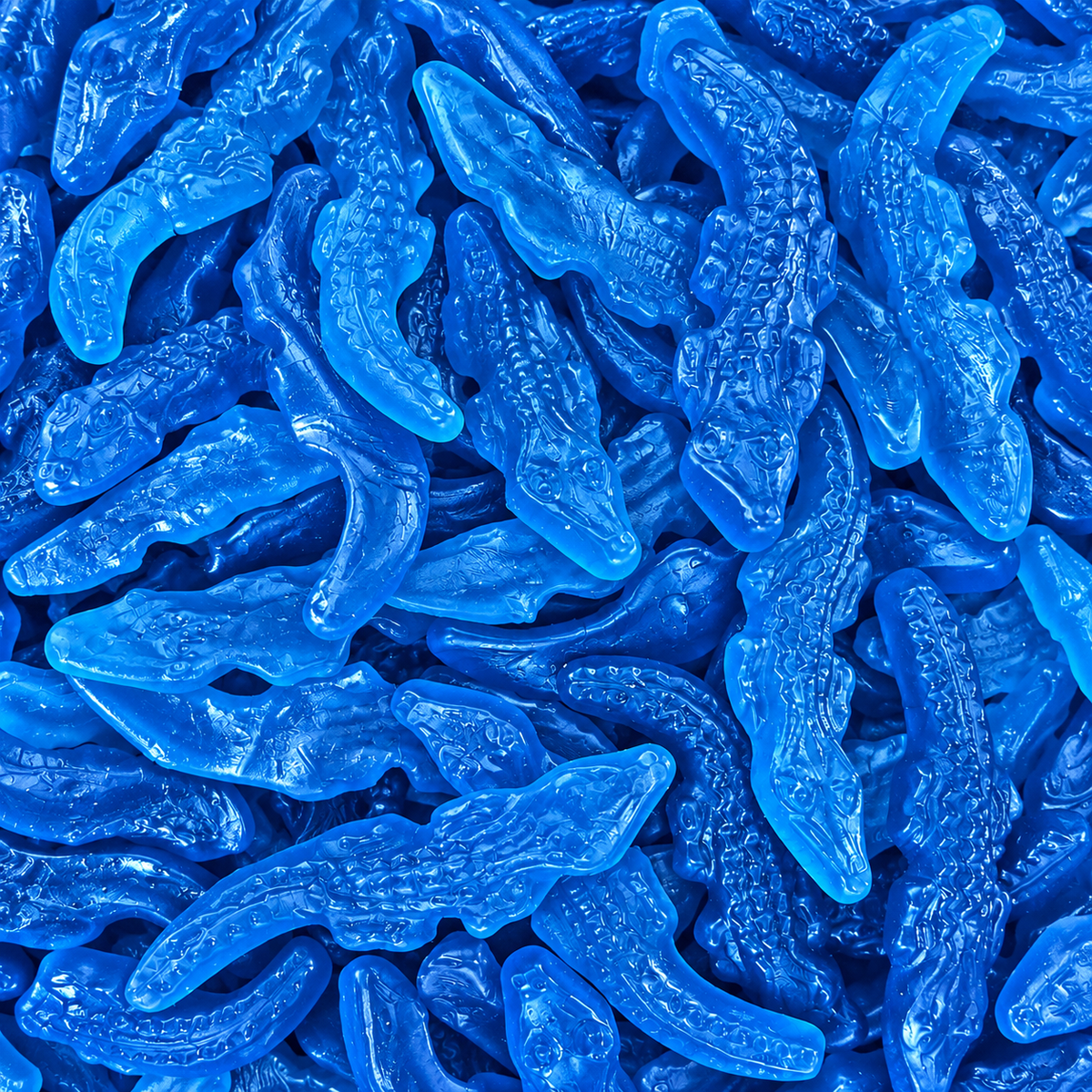 Crocodiles Blue