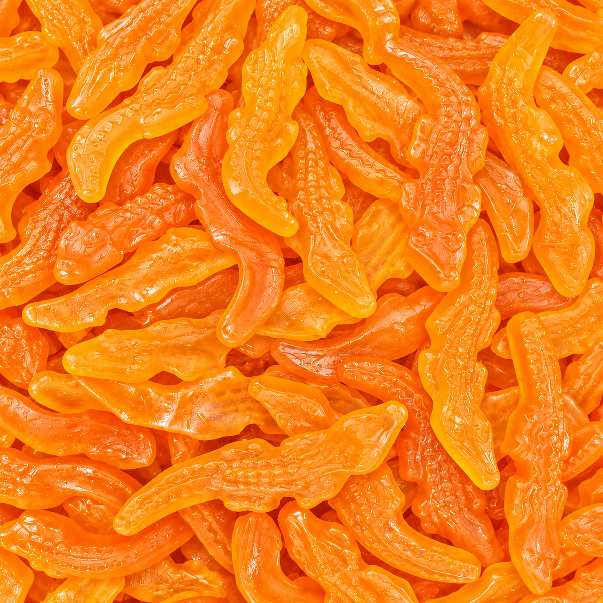 Crocodiles Orange