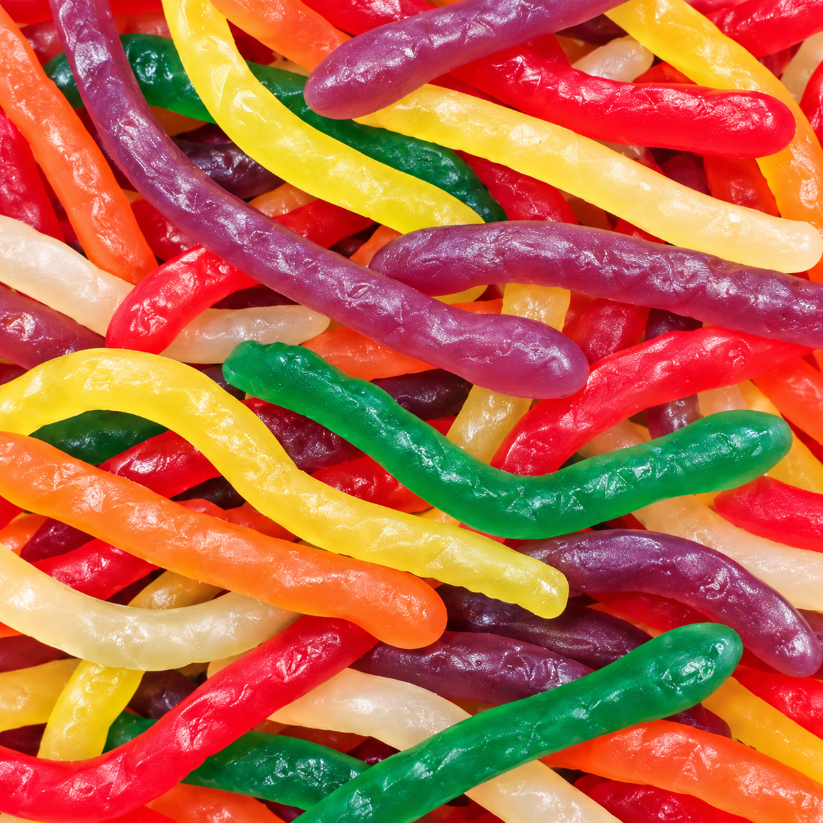 Rainbow Snakes