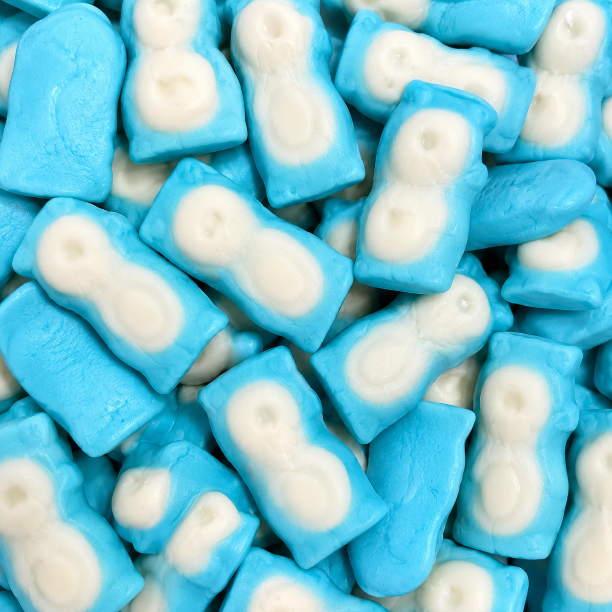 Little Blue Penguins